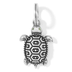 Pismo Turtle Charm