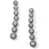 Twinkle Splendor Long Post Drop Earrings